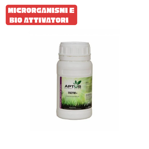 Enzym+