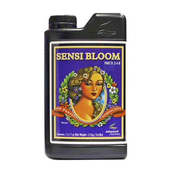 Sensi Bloom B
