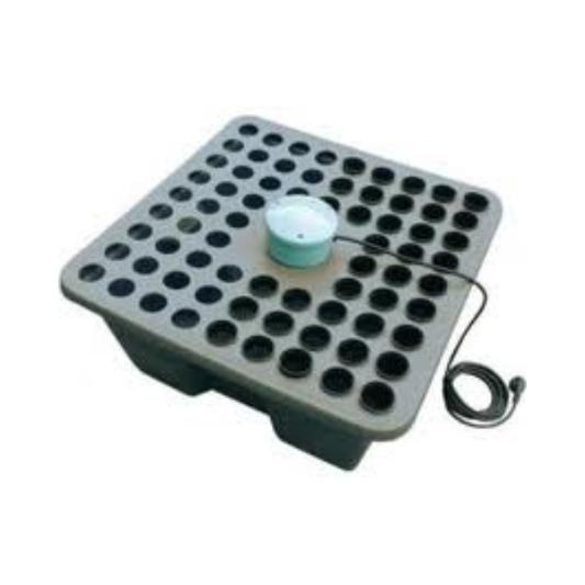 Rainforest 72 12V (72 siti)