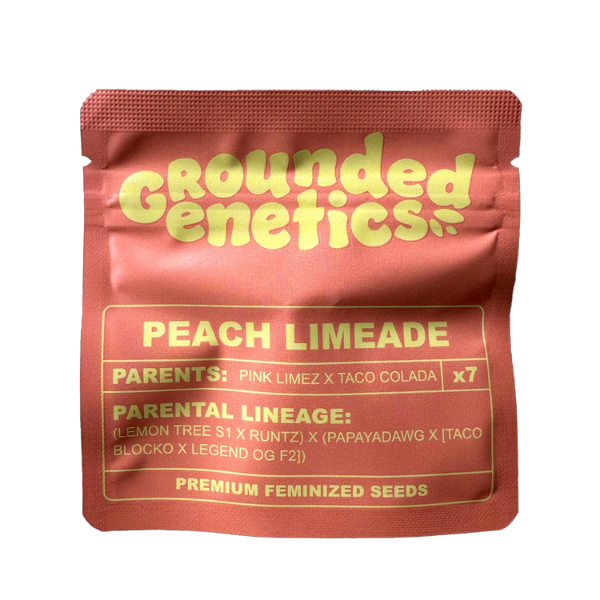Grounded Genetics Peach Limeade