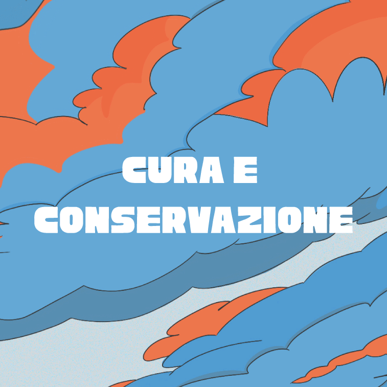 Cura e Conservazione