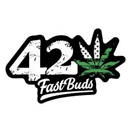 FAST BUDS
