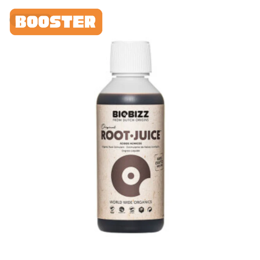 Root Juice
