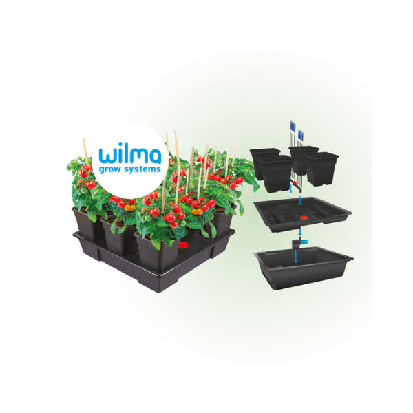 Wilma Large 4 vasi da 18 L 75x75x20 cm