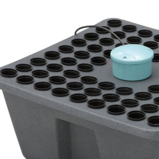 Rainforest 72 12V (72 siti)