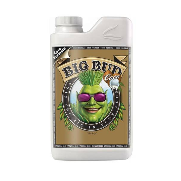 Big Bud Coco