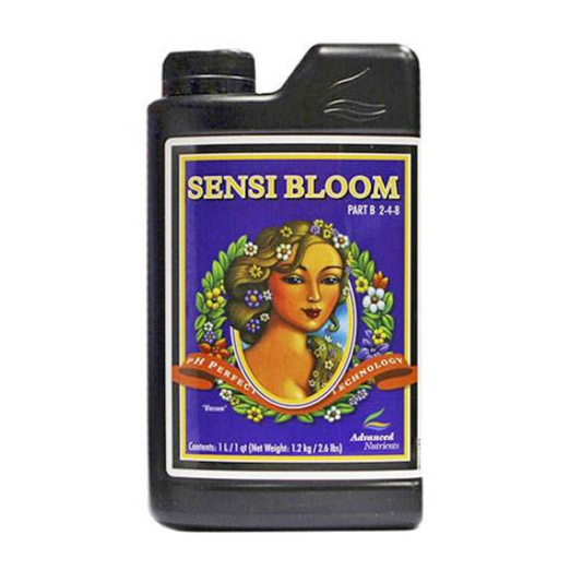Sensi Bloom B
