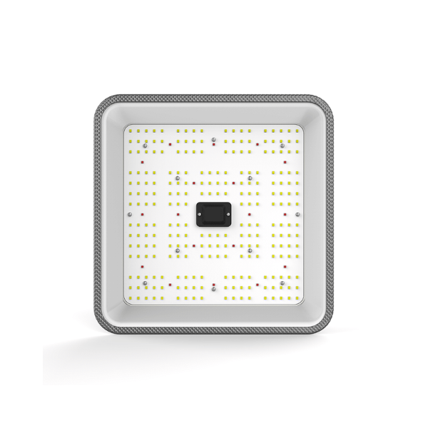 Quantum LED Full Cycle 60W