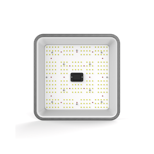 Quantum LED Full Cycle 60W