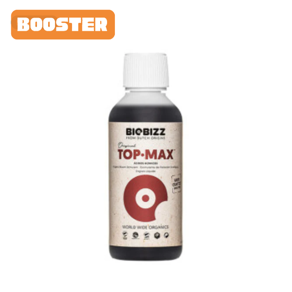 Top Max
