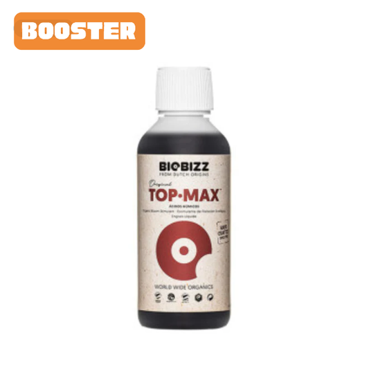 Top Max