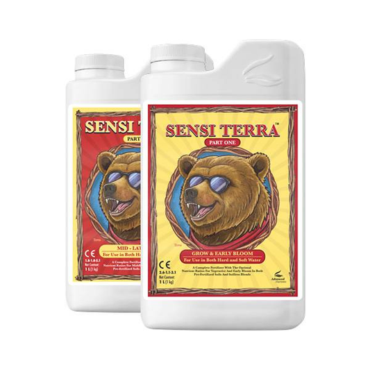 Sensi Terra 2