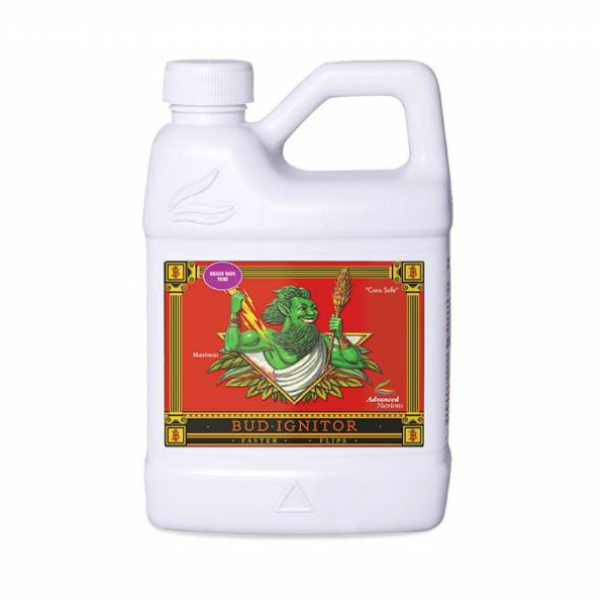 Bud Ignitor