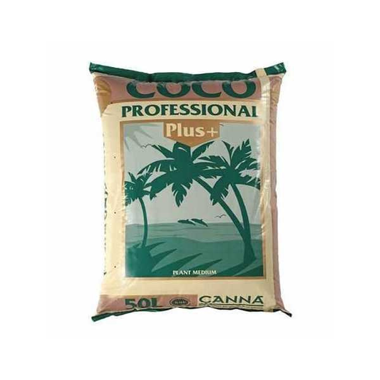 Coco Professional Plus